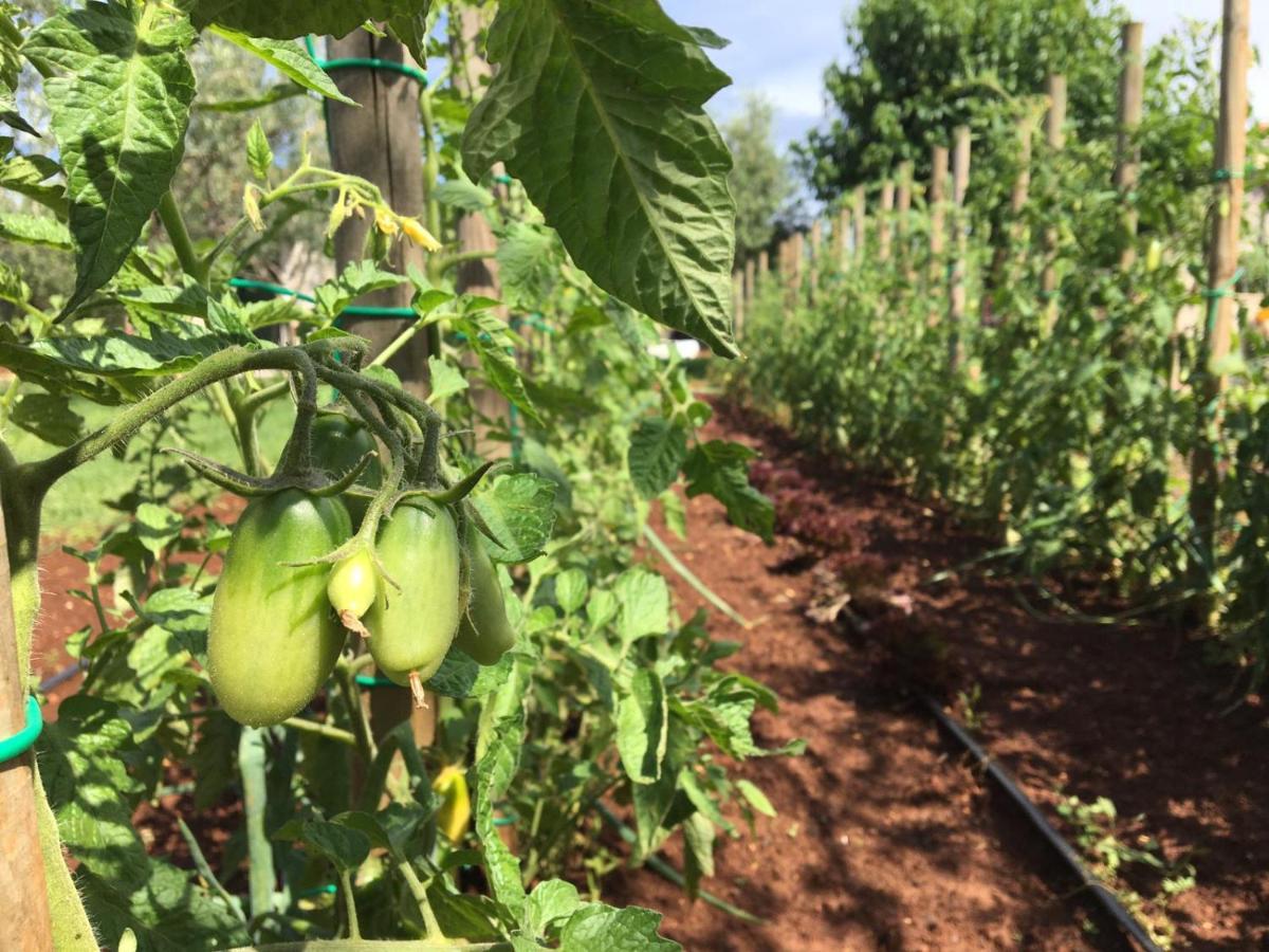 Appartamento Hacienda Monica *
