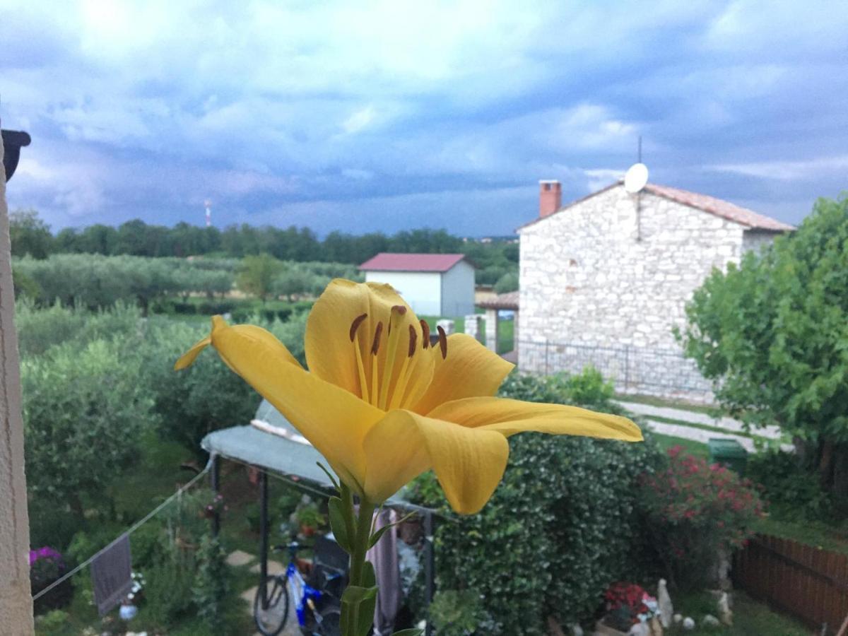 Appartamento Hacienda Monica