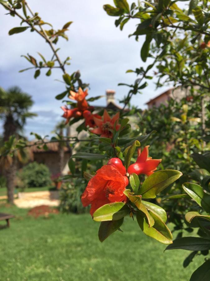 Hacienda Monica Umago