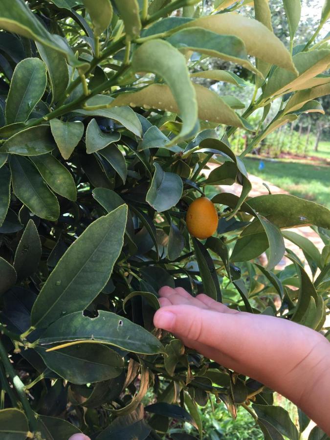 Appartamento Hacienda Monica *