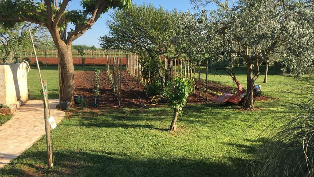 Hacienda Monica Appartamento